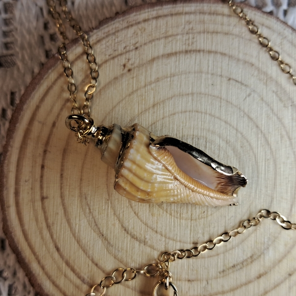Artisan Gold Plated Conch Shell w/ 14k Goldfilled Necklace - Picture 7 of 8